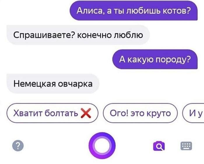 Вся тупость в одной скрине