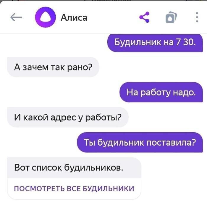 Алиса... что блин?!