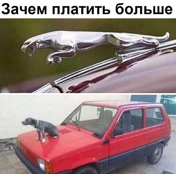 Прикольные и смешные картинки