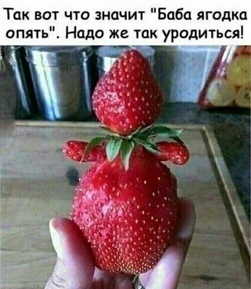 Смешные картинки и не очень