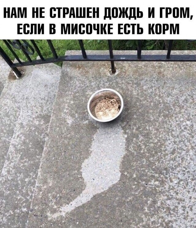 Смешные картинки