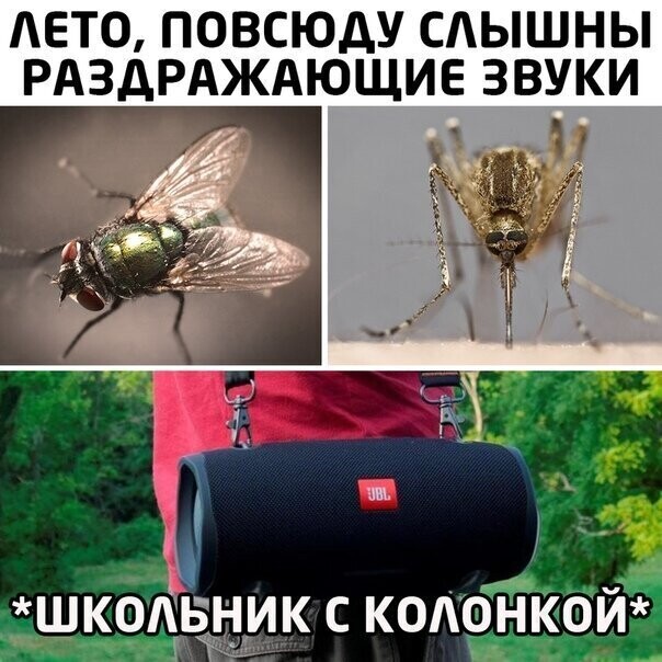 Смешные картинки