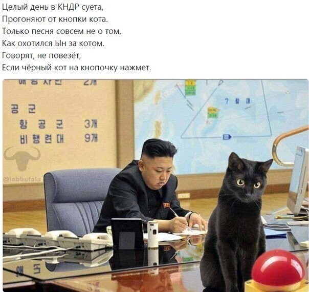 Политические комментарии из инета