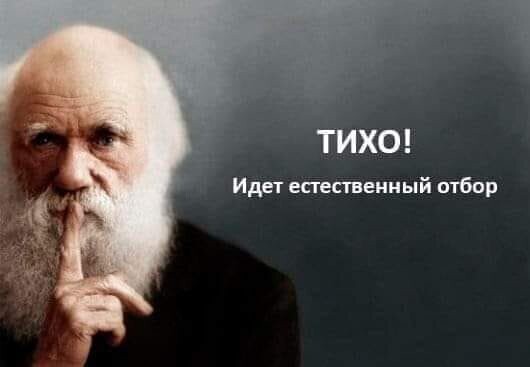 Политические комментарии из инета