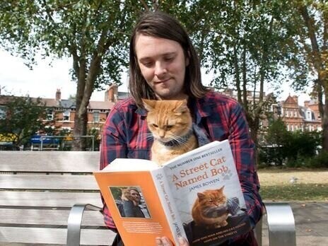 В Лондоне умер герой книг-бестселлеров рыжий уличный кот Боб