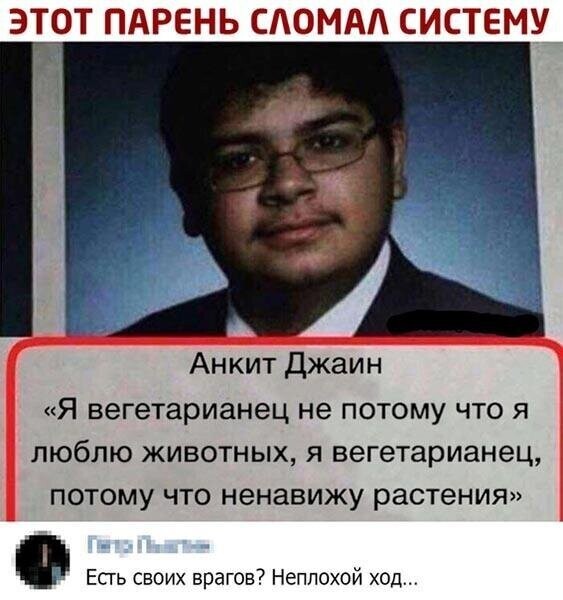 Прикольные и смешные картинки