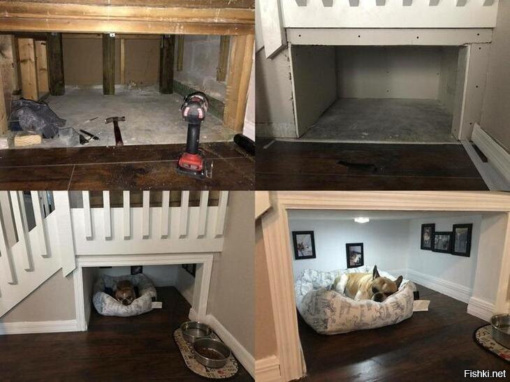 Сделал комнату для собачки под лестницей