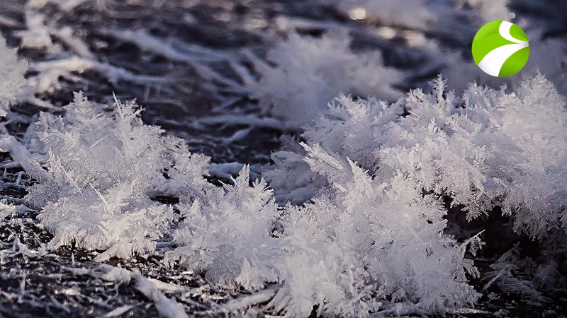 Ледяные цветы - Аномалия Крайнего Севера и Загадка для учёных