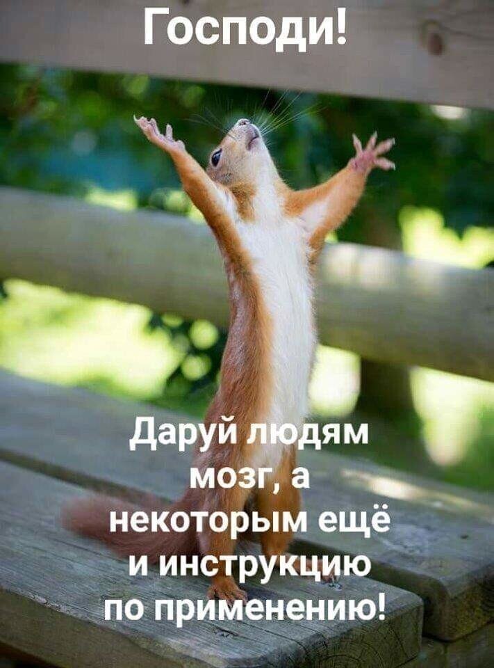 Политические комментарии из инета