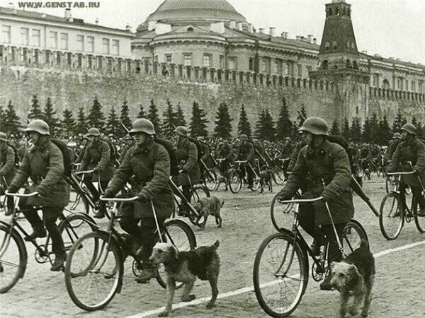 Собаки на параде победы. 1945 г.