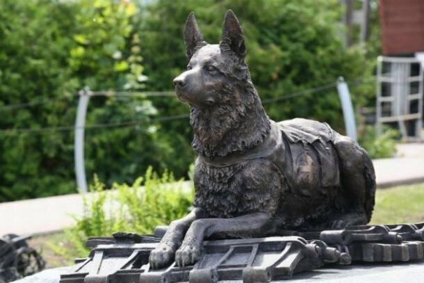 Памятник собаке-фронтовику на Поклонной горе