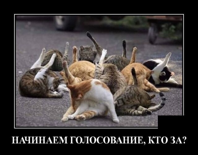 Демотиваторы