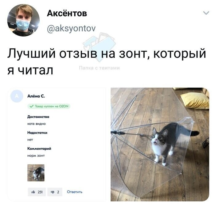 16. Главное, что видно кота