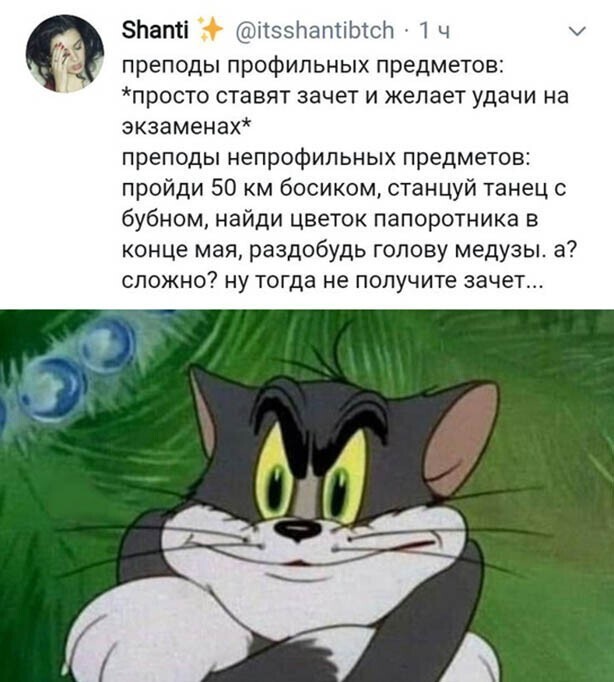 Прикольные и смешные картинки