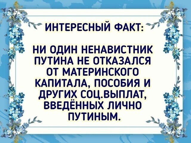 Политические комментарии из инета