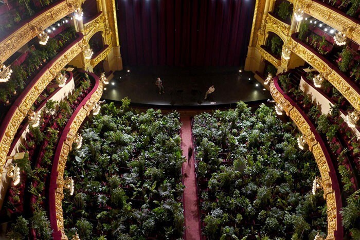 Музыканты в барселонской опере выступили перед растениями