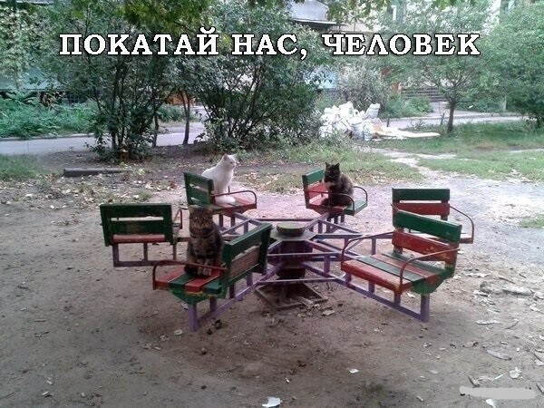 Смешные картинки