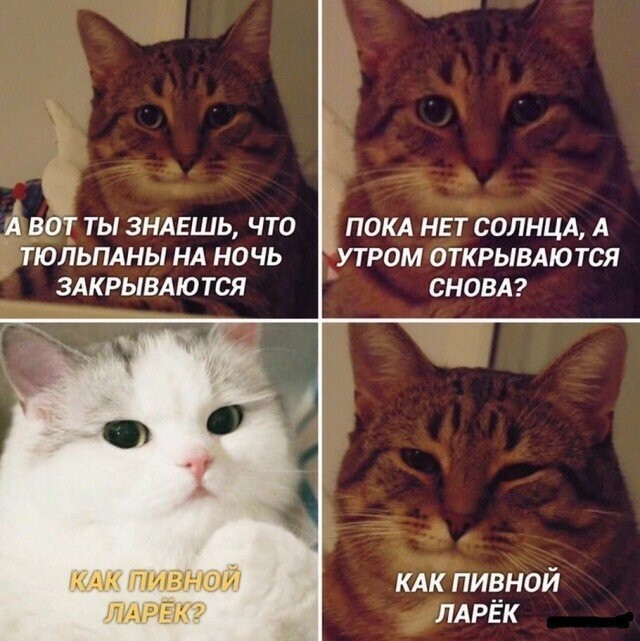 Смешные картинки