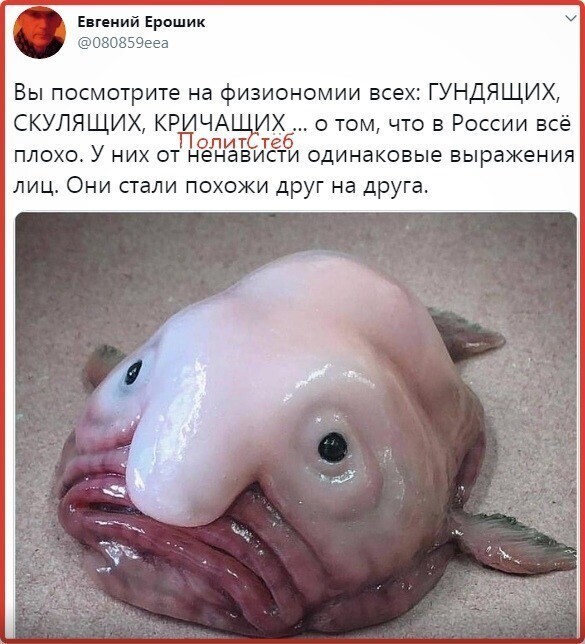 Политические комментарии 2