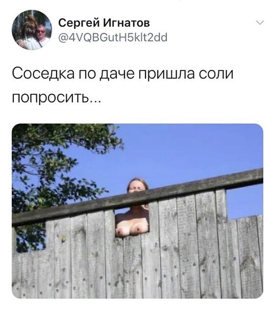 Прикольные и смешные картинки