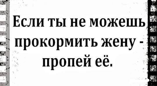 Смешные картинки от Чёрный кот за 28 июня 2020 09:51