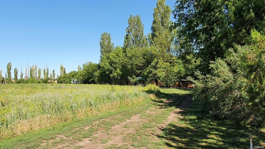 с пасеки