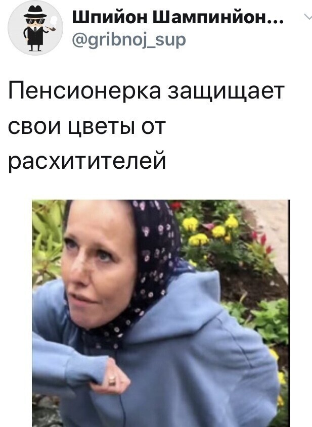 Политические комментарии из инета