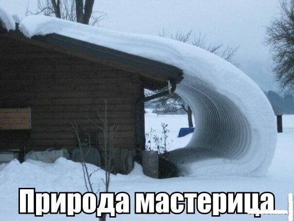 Смешные картинки