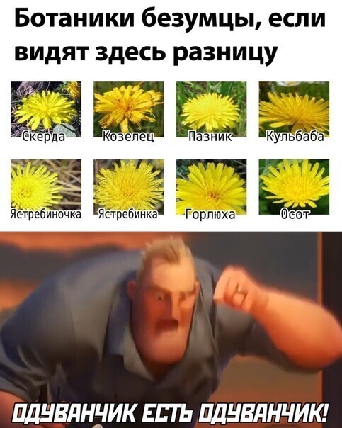 Разные фоточки