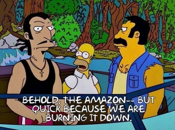 Пожары в амазонских лесах