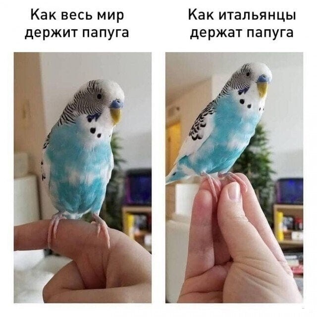 Смешные картинки