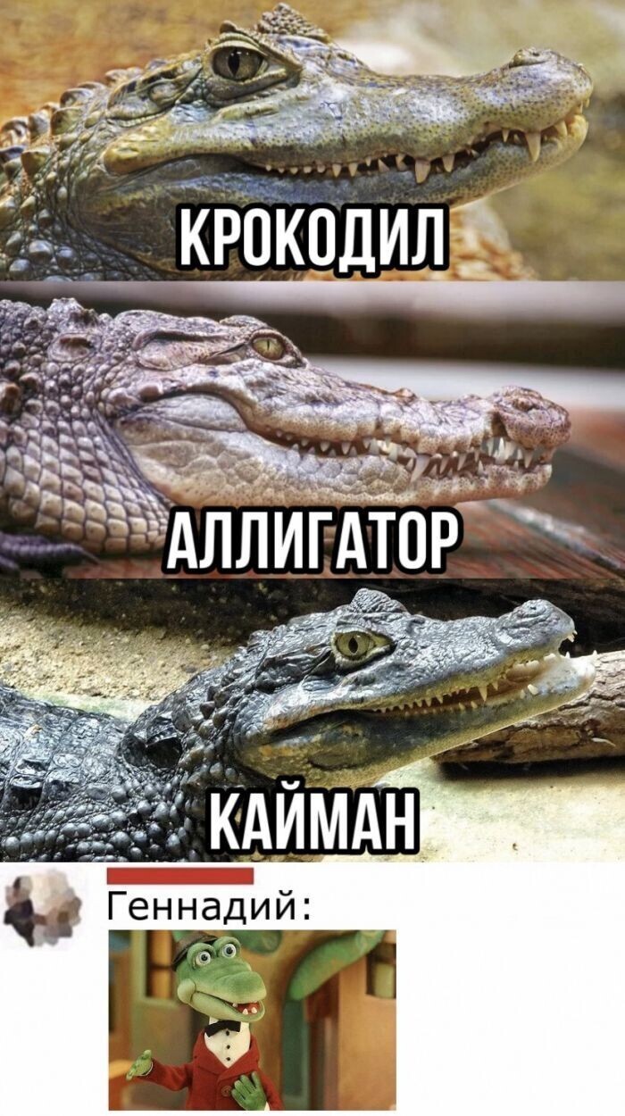 Смешные картинки