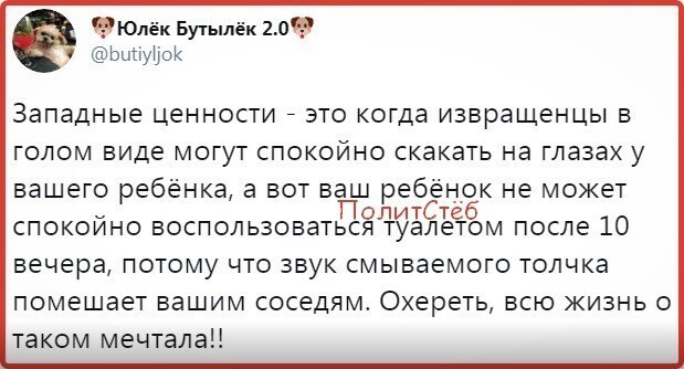 Политические комментарии из инета