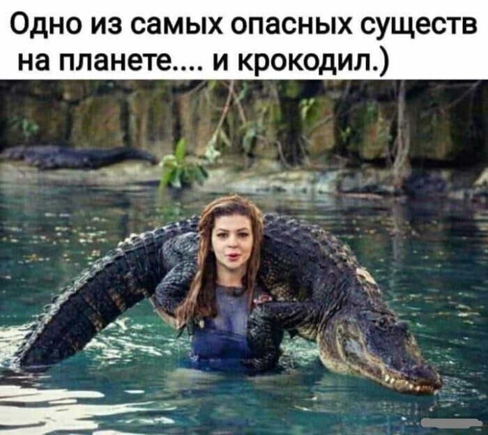 Смешные картинки