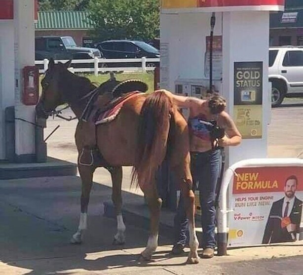 Прикольные и смешные картинки