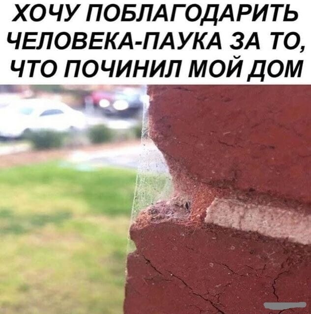 Смешные картинки