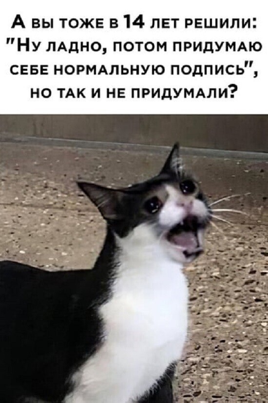 Смешные картинки