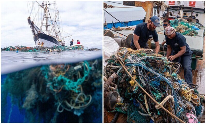 Экспедиторы выловили из океана рекордное количество мусора