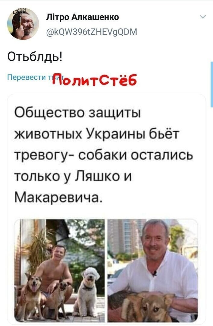 Политические комментарии из инета
