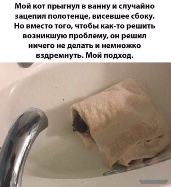 Смешные картинки