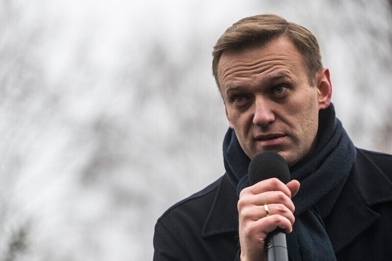 Бойкот Навальному: оппозиция винит блогера в «антипоправочном» провале