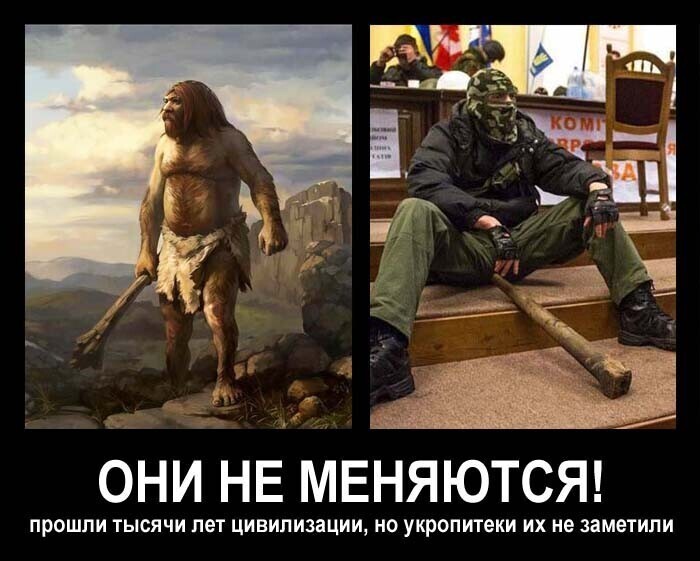 Политические комментарии из инета