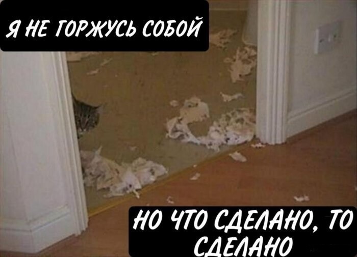 Смешные картинки