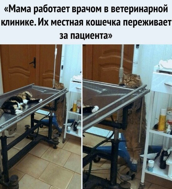 Смешные картинки