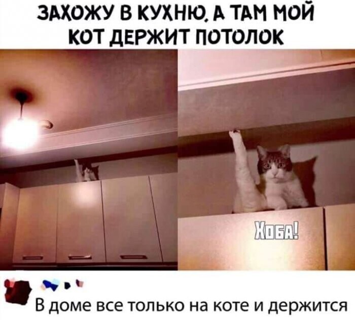 Хохотальня