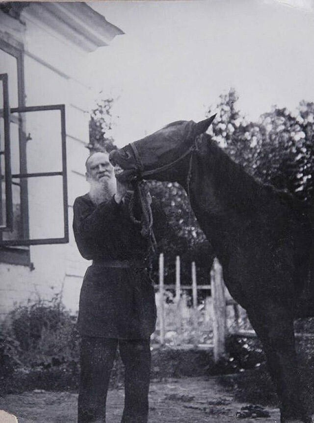 11. Лев Толстой со своим конем.
