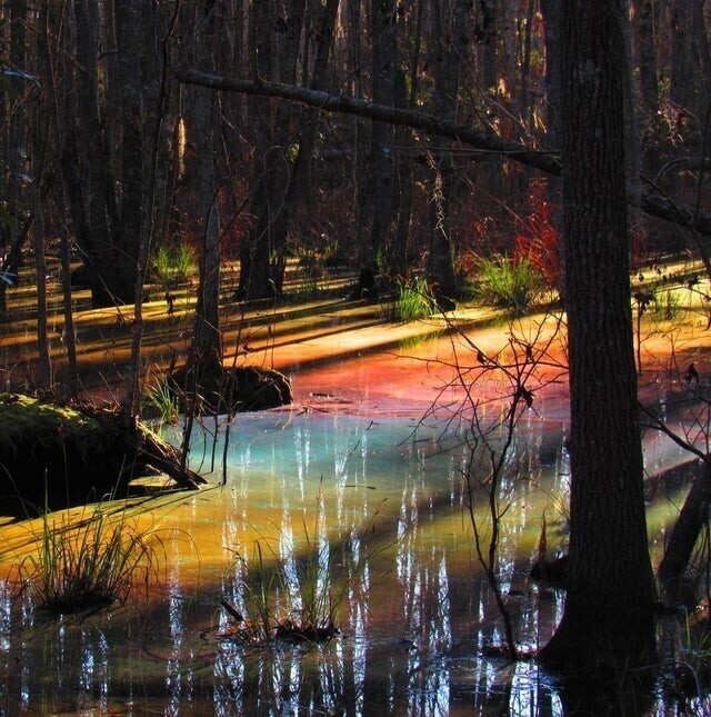 11. В Национальном парке Конгари вода в озере окрашивается в разные цвета при определенной температуре