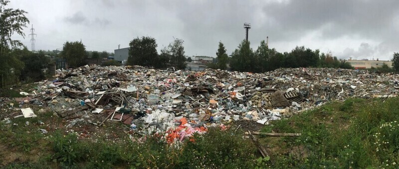 В Невском районе беда с экологией, но местной администрации на это плевать