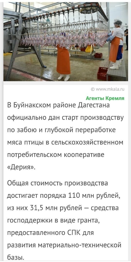 Политические комментарии из инета
