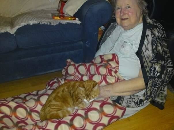 Бабуля упала, и любимый кот поддерживал её, пока не приехала скорая помощь